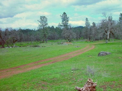 Redding land for sale